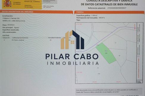 IMG_27026A002002980000ZP