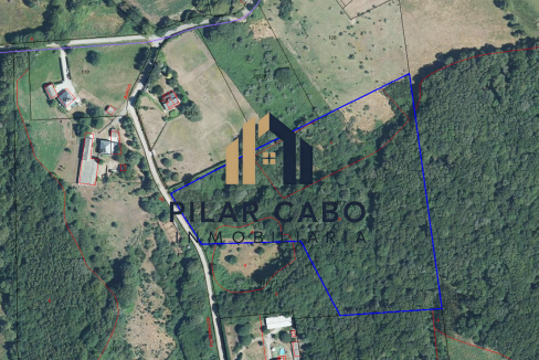 plano 3
